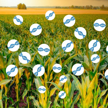 Stoffe unter der Lupe – Gentechnik in der Diskussion