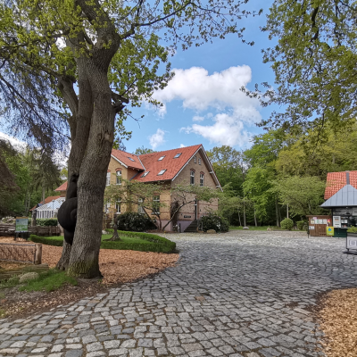 Gewinnspiel Beauty-Wochen 2025 Reisen mit Sinnen