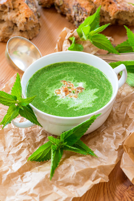 Brennnesselsuppe
