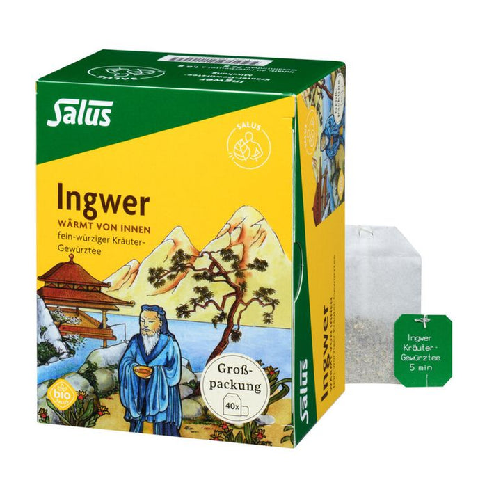 Salus - Ingwer Kräuter-Gewürztee-Mischung 40Stk
