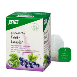 Salus - Gourmet Cool Cassis Kräutertee bio 15 FB