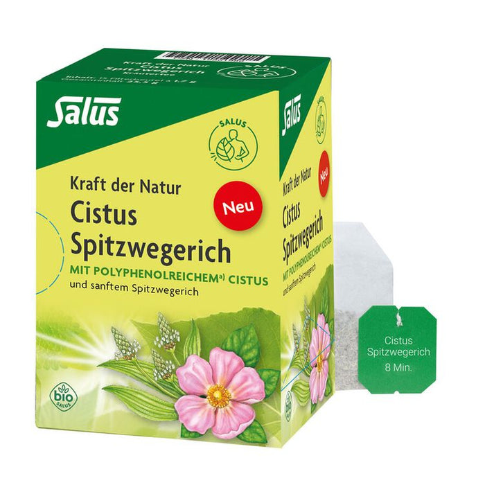 Salus - Kraft der Natur Cistus Spitzwegerich Tee bio, 15 FB