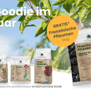 Aktionsbanner mit vier Produktabbildungen (Französische Pflaumen, Mandelkerne, Mohn, Cranberries) von Lihn -