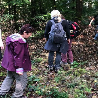 Auf Pilzpirsch im Westerwald