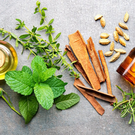 Stoffe unter der Lupe – neuform® zertifizierte Naturkosmetik
