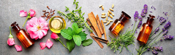Stoffe unter der Lupe – neuform® zertifizierte Naturkosmetik