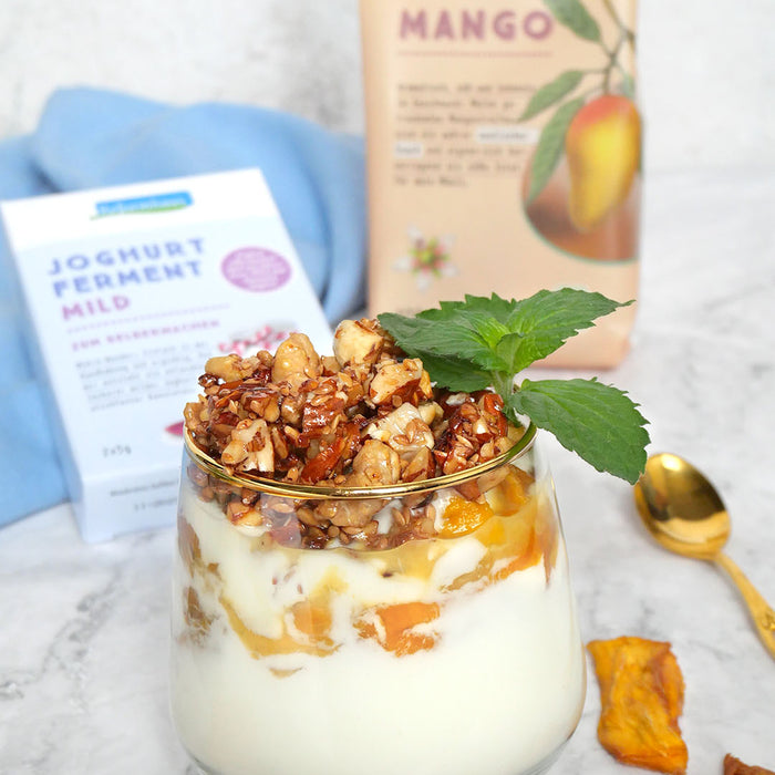 Selbstgemachter Kokos-Joghurt mit Mango und Nuss-Crunch-Topping