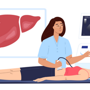 Die Illustration zeigt eine Ärztin, die bei einer Patientin eine Ultraschalluntersuchung der Leber durchführt. Im Hintergrund sind eine schematische Darstellung der Leber und ein Ultraschallbild auf einem Monitor zu sehen.