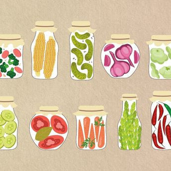 Fermentieren lernen – Seminar & Anleitung für zu Hause