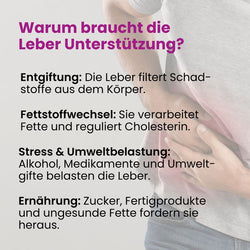 Alsiroyal - Mariendistel 90 Kps.