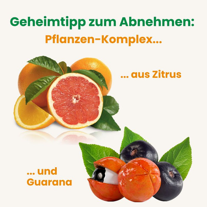 Alsiroyal - Figura Fettstoffwechsel 90 Kapseln