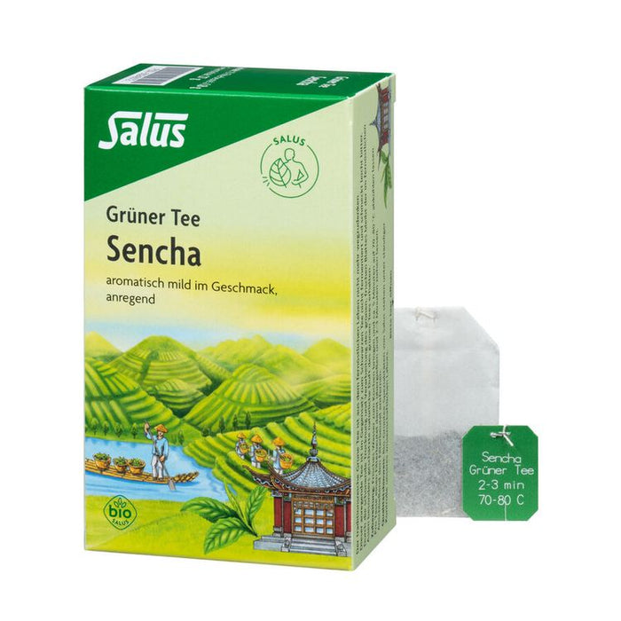 Salus - Grüner Tee Sencha, Bio, 15 Btl.