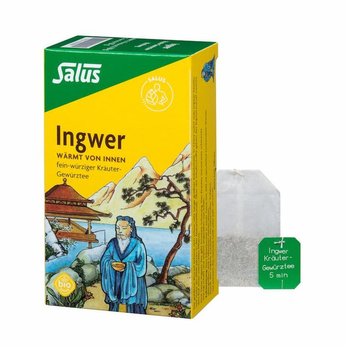 Salus - Ingwer Kräuter-Gewürztee-Mischung 15Stk