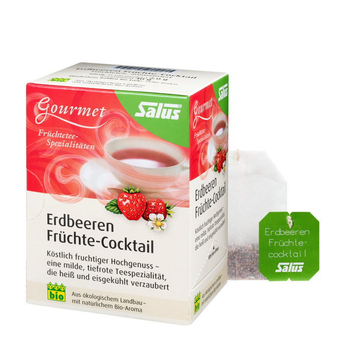 Salus - Gourmet Erdbeeren Früchte-Cocktail bio 15FB