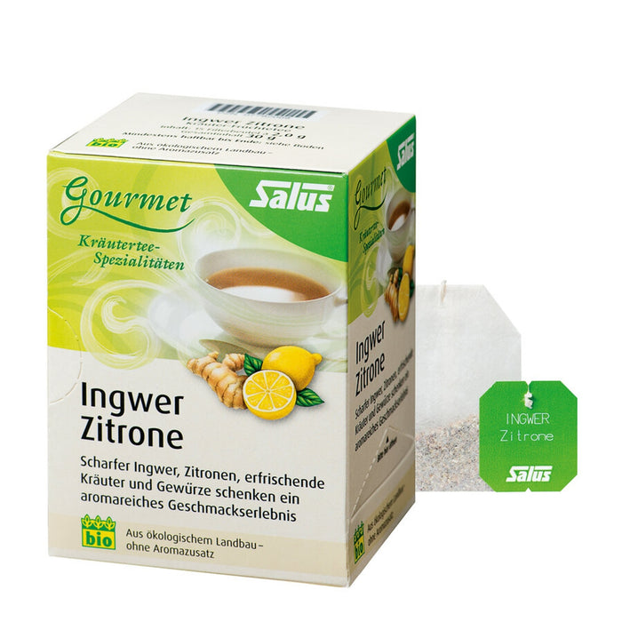 Salus - Gourmet Ingwer Zitrone Kräutertee bio 15 FB