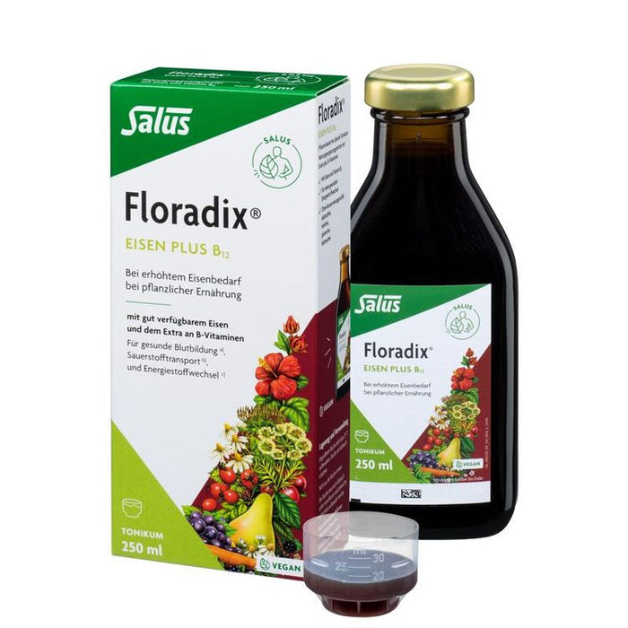 Salus - Floradix Eisen Plus B12 vegan 250ml