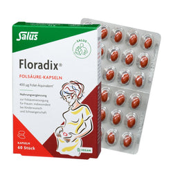 Salus - Floradix Folsäure Kapseln 60 St.
