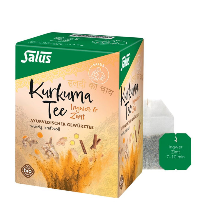 Salus Kurkuma Tee Ingwer & Zimt bio 15FB