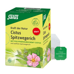 Salus - Kraft der Natur Cistus Spitzwegerich Tee bio, 15 FB
