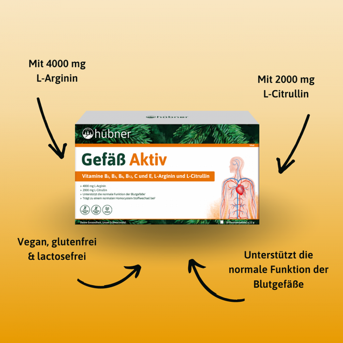 Hübner - Gefäß Aktiv, 360g