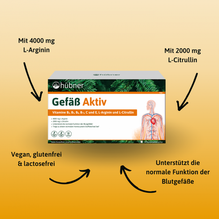 Hübner - Gefäß Aktiv 360g