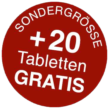 KGV - Roter Ginseng Tabletten Sondergröße 200 + 20 Stk.