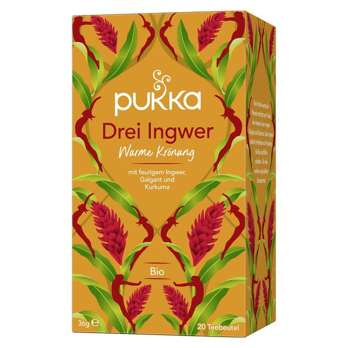 Pukka Drei Ingwer Tee bio, 20 Beutel