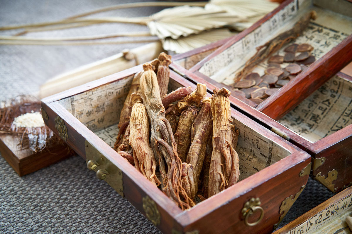 Roter Ginseng