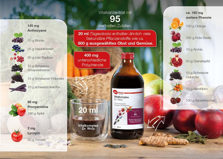 Dr. Wolz - Vitalkomplex, 500ml