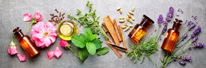Flatlay mit grauem Hintergrund und Blüten. Kräutern, Samen sowie braunen Apothekerfläschchen