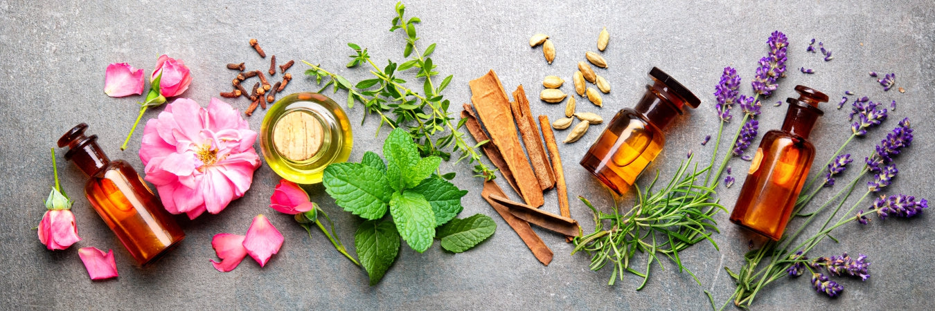 Flatlay mit grauem Hintergrund und Blüten. Kräutern, Samen sowie braunen Apothekerfläschchen