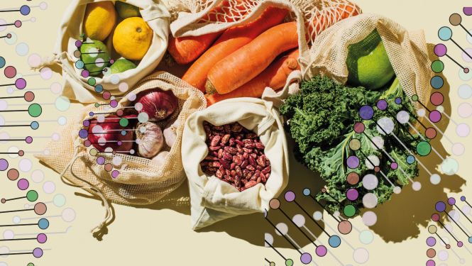 Zitrusfrüchte, Gemüse und Bohnen in Beuteln mit Gen-Spiralen Illustration