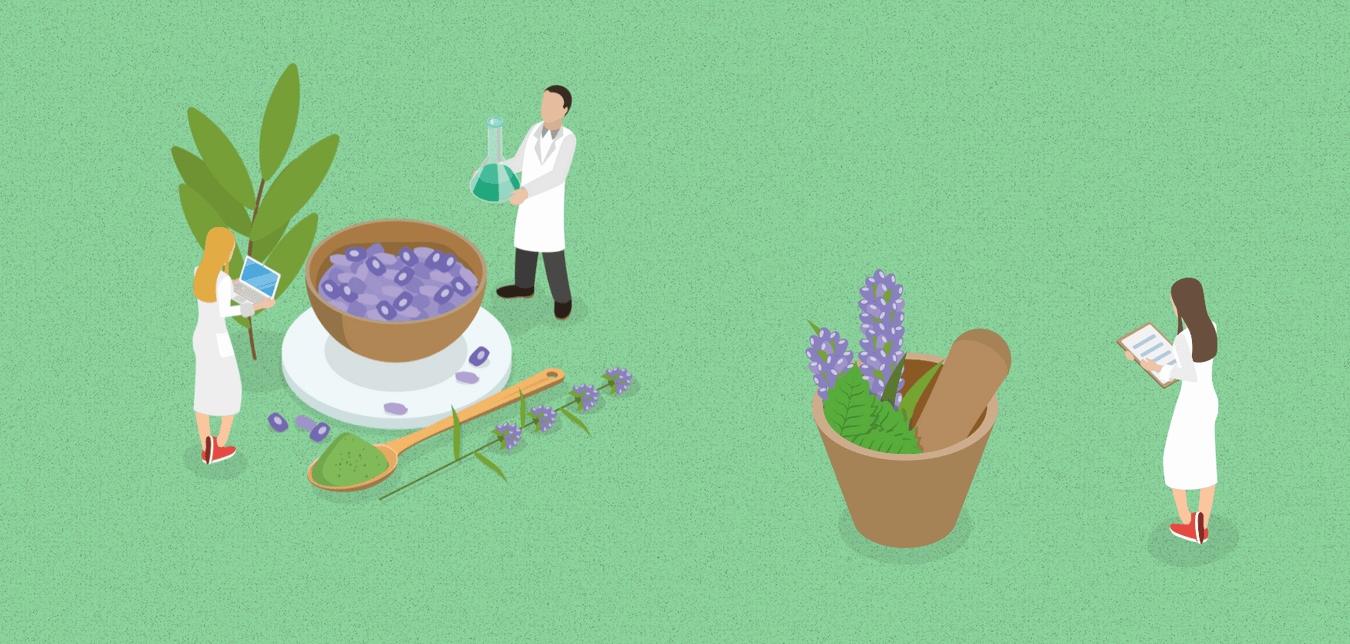 Illustration von drei Personen in weißen Kitteln, die mit Pflanzen, Kräutern, einem Reagenzglas und einer Schale arbeiten – Symbol für Forschung und Entwicklung von Naturkosmetik.