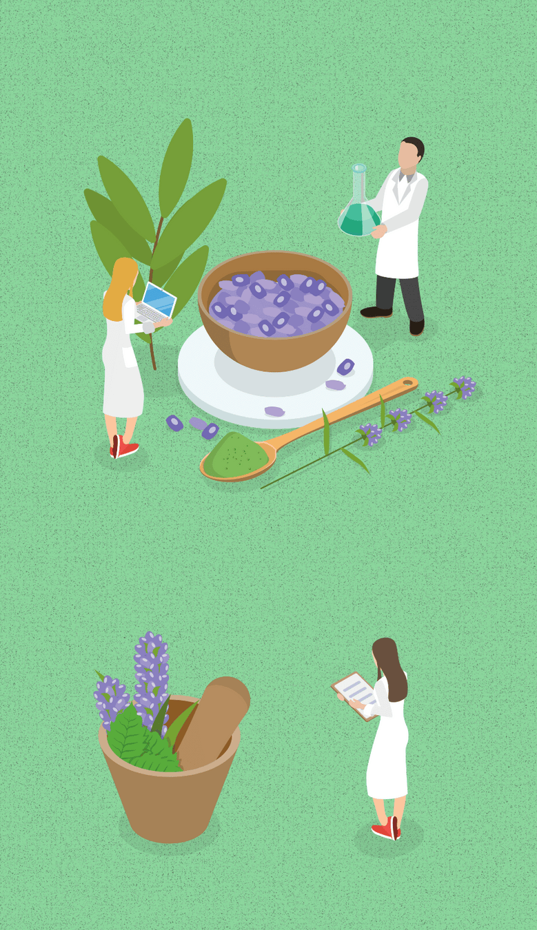 Illustration von drei Personen in weißen Kitteln, die mit Pflanzen, Kräutern, einem Reagenzglas und einer Schale arbeiten – Symbol für Forschung und Entwicklung von Naturkosmetik.