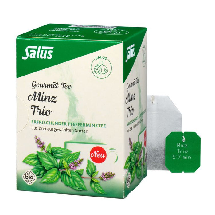 Salus - Gourmet Tee Minz Trio bio 15 FB